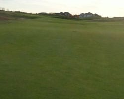 close-up of golf course