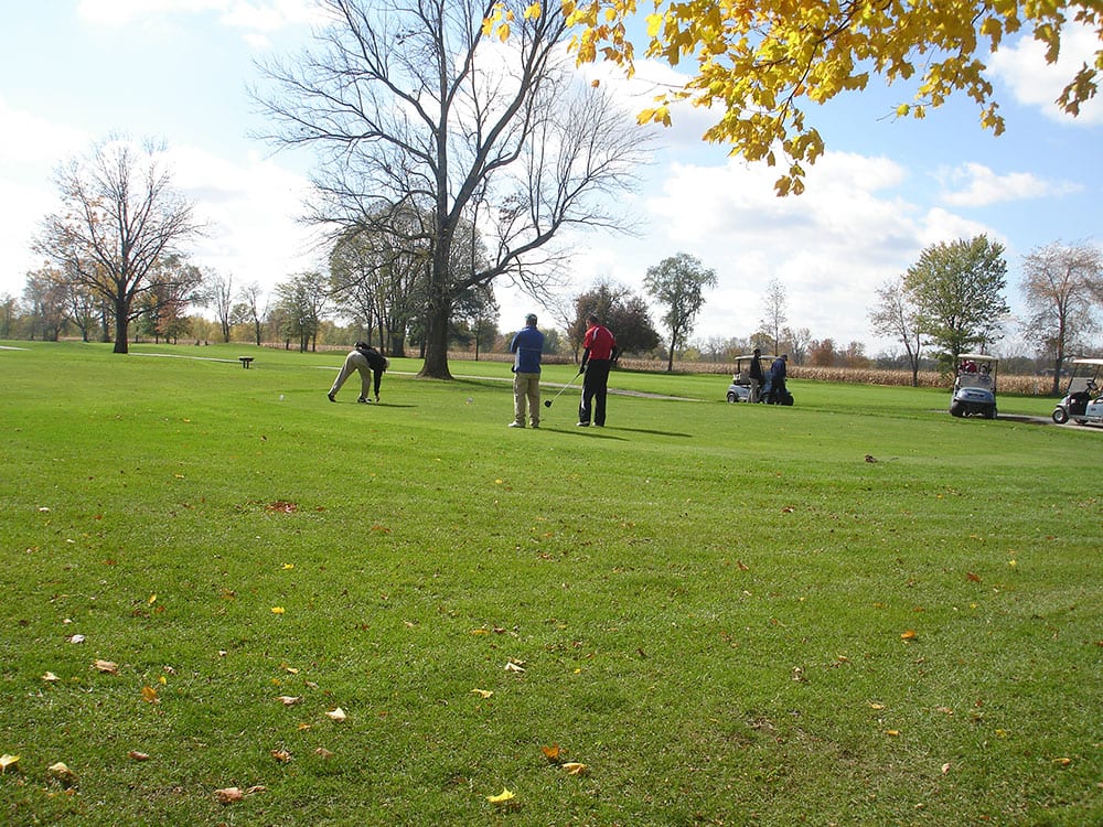 gentleman playing golf on golf course