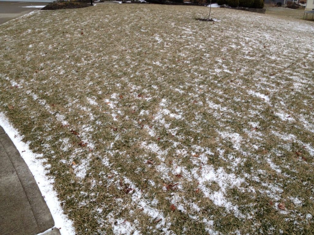 2014 winter on turf
