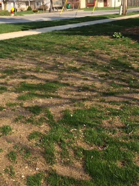 dry top soil