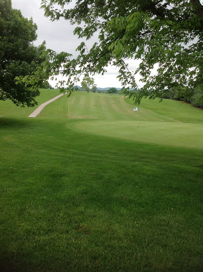 landscape view of lawn 