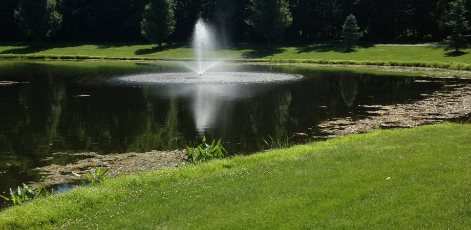 close up of a pond and a fountain