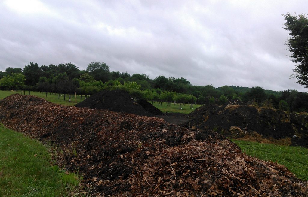 Compost area