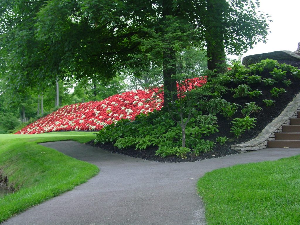 close-up of garden