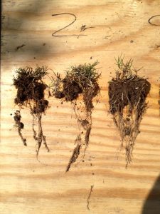 field soil comparison 2