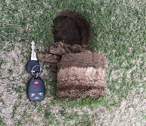 keys laying on topdressing