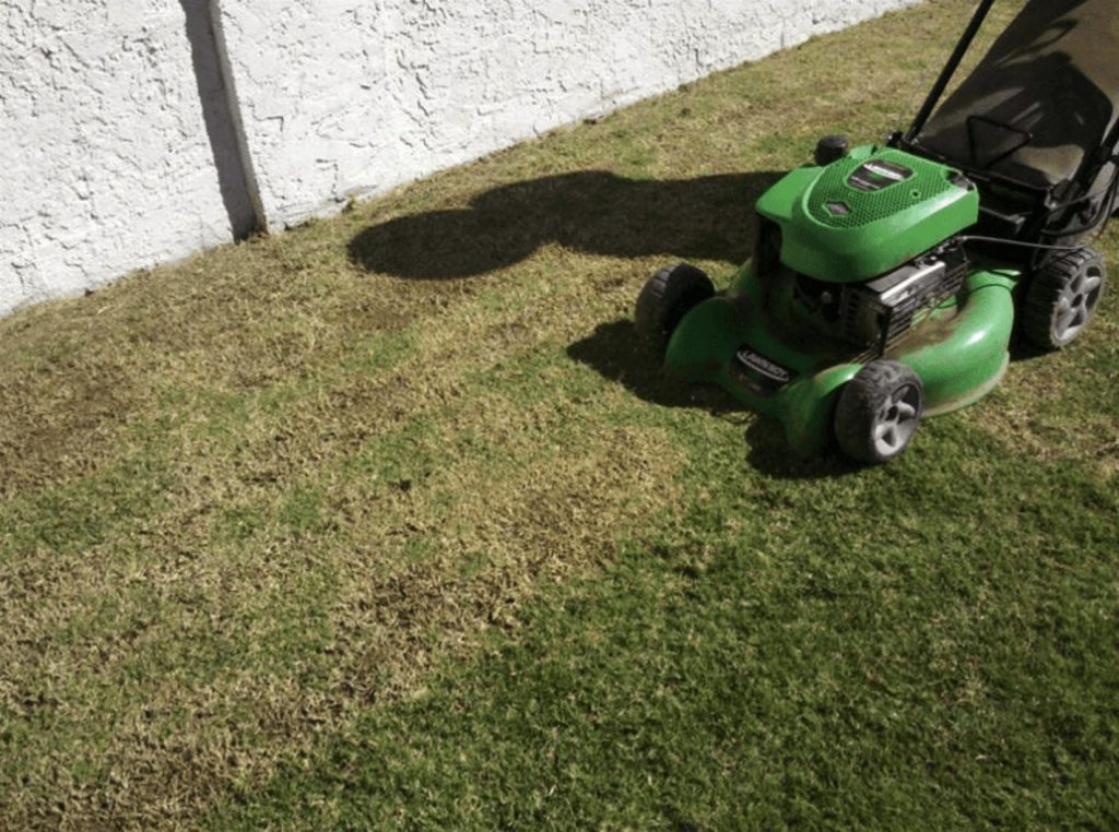 mowing lawn