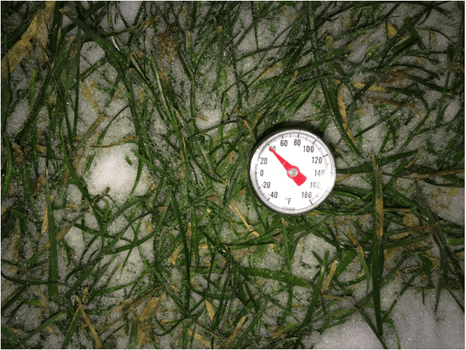 temp gage in plants