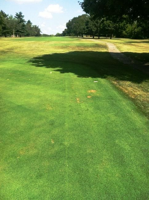 grass after aqueduct 