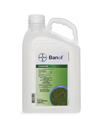 bottle of Bayer Banol