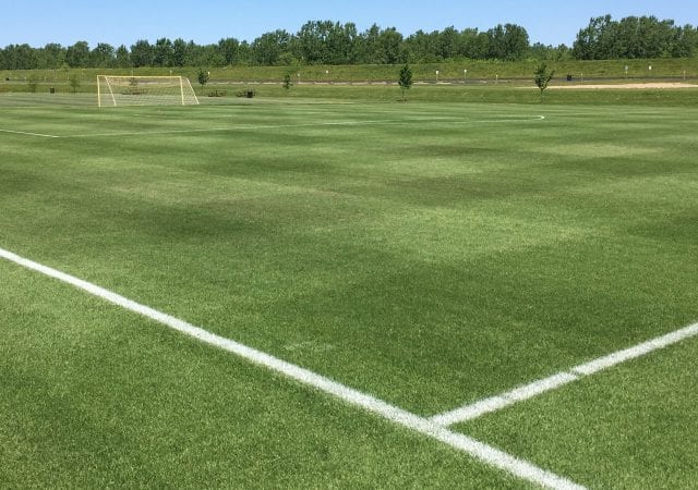 fresh lines and grass on Bluemuda Field