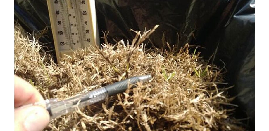 close-up of pen and hay
