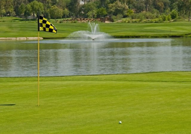 close-up of a golf course