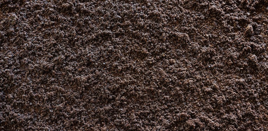 Used coffee ground texture, abstract background.