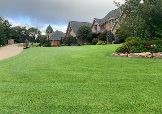 Zoysia Fall Practices for Lawn