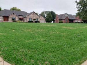 bright green lawn with few brown patches