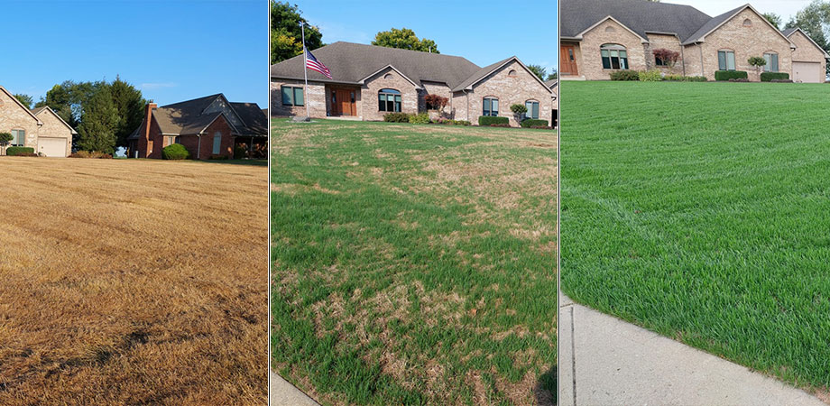 brown, less brown, and green home lawns