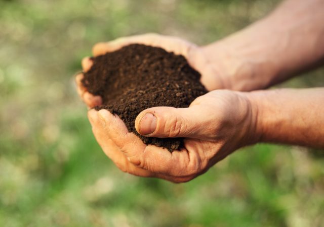 Image of soil in hands