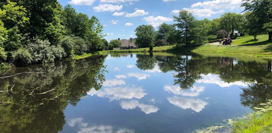 Blue sky and clouds reflected in clear pond
