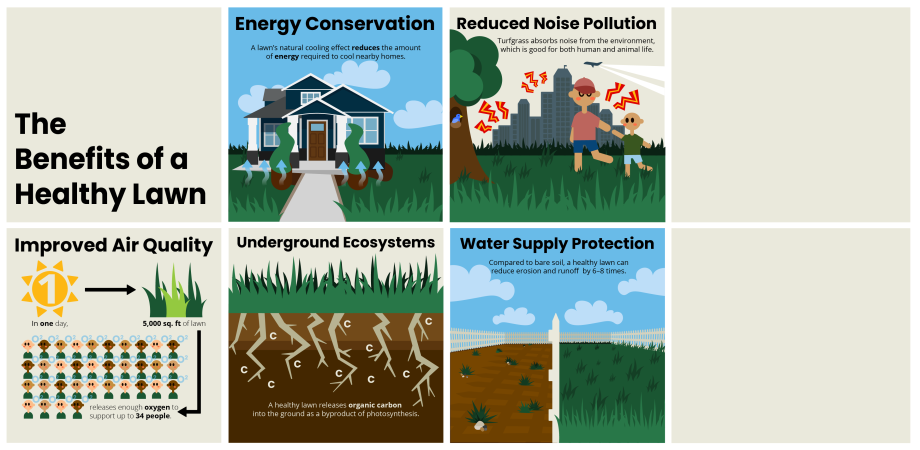 Healthy Lawns Graphic
