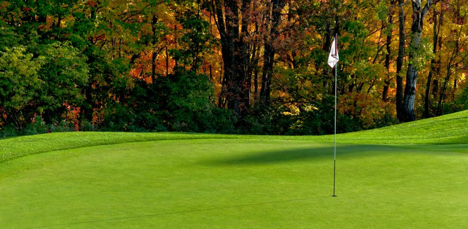 Golf course putting green with flag in autumn colors