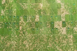 Reduction of Inputs by Screening Against Disease (PST East)
