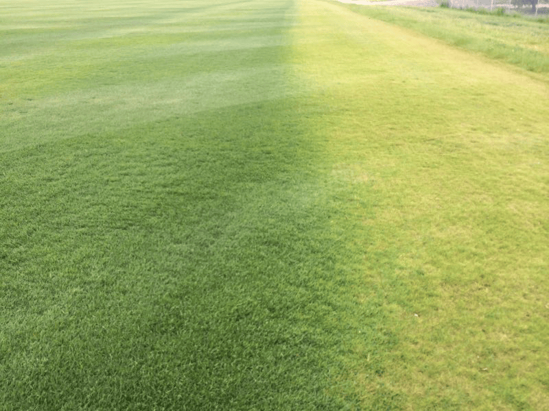 turf after sprayer spreader