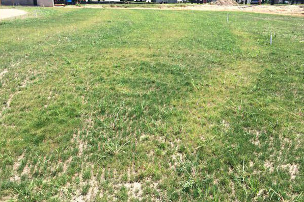 rotary spreader turf