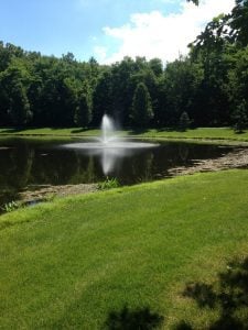 close up of a pond and a fountain