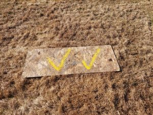 plywood sitting on brown grass