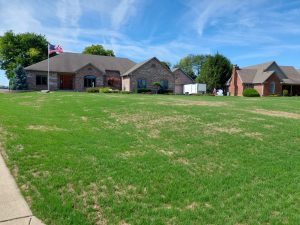 bright green lawn with some brown spots