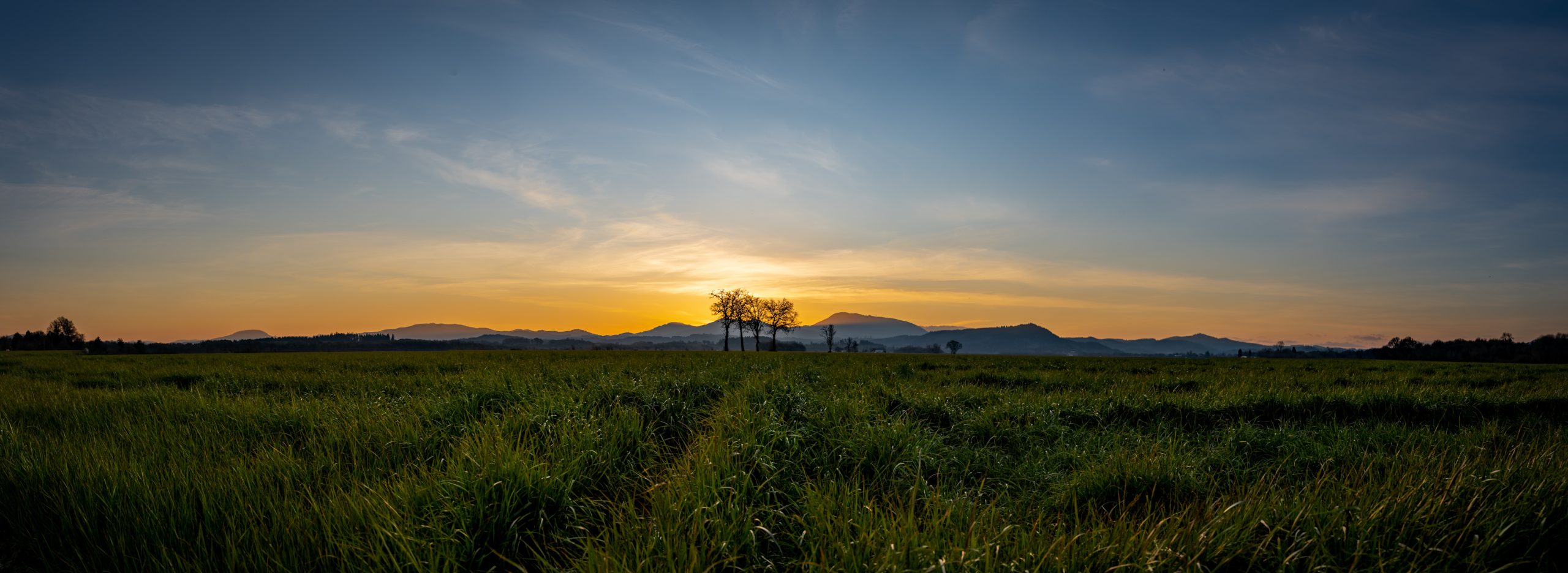 Sunset over grass field Mary's Peak Oregon Willamette Valley