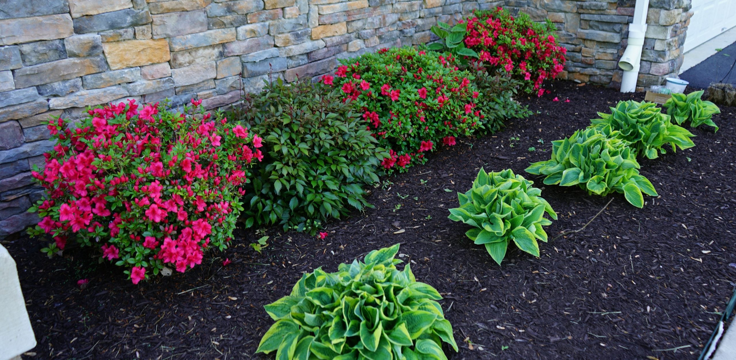 Landscape Bed