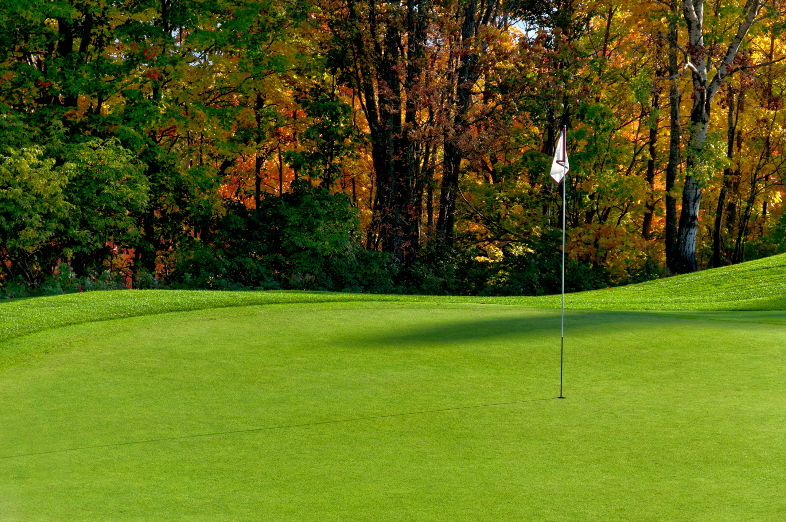 Golf course putting green with flag in autumn colors