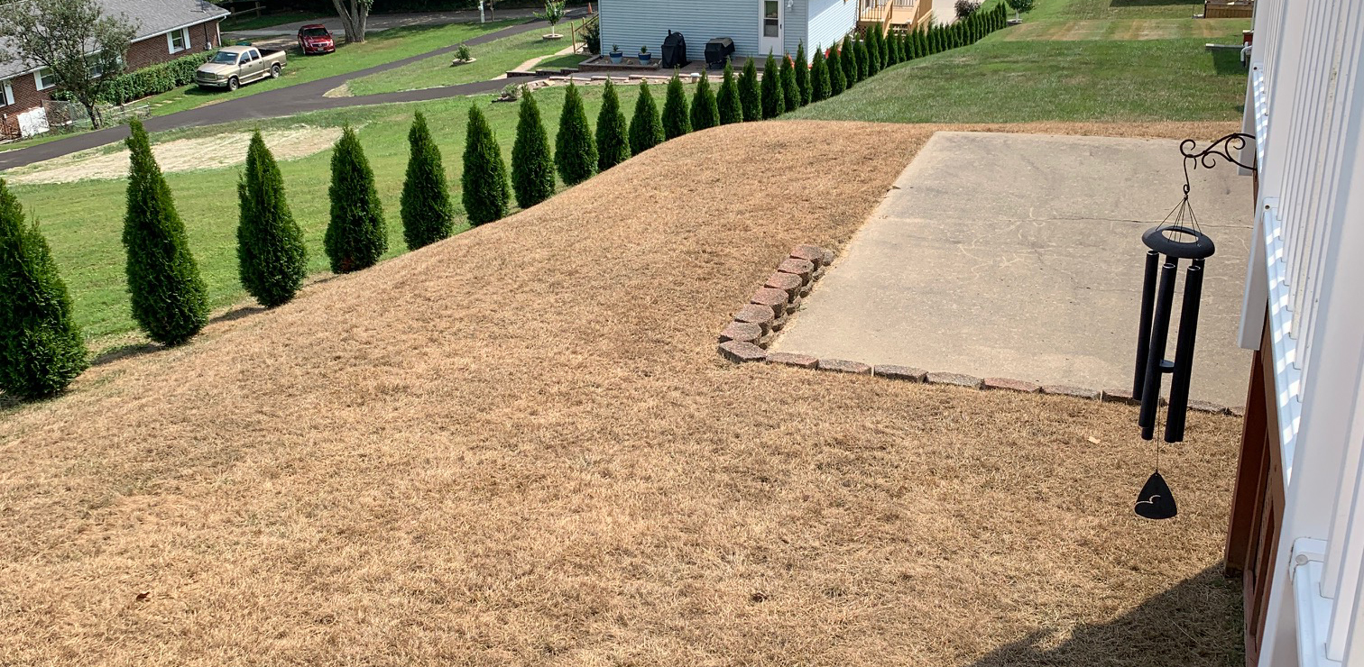 army worm damage