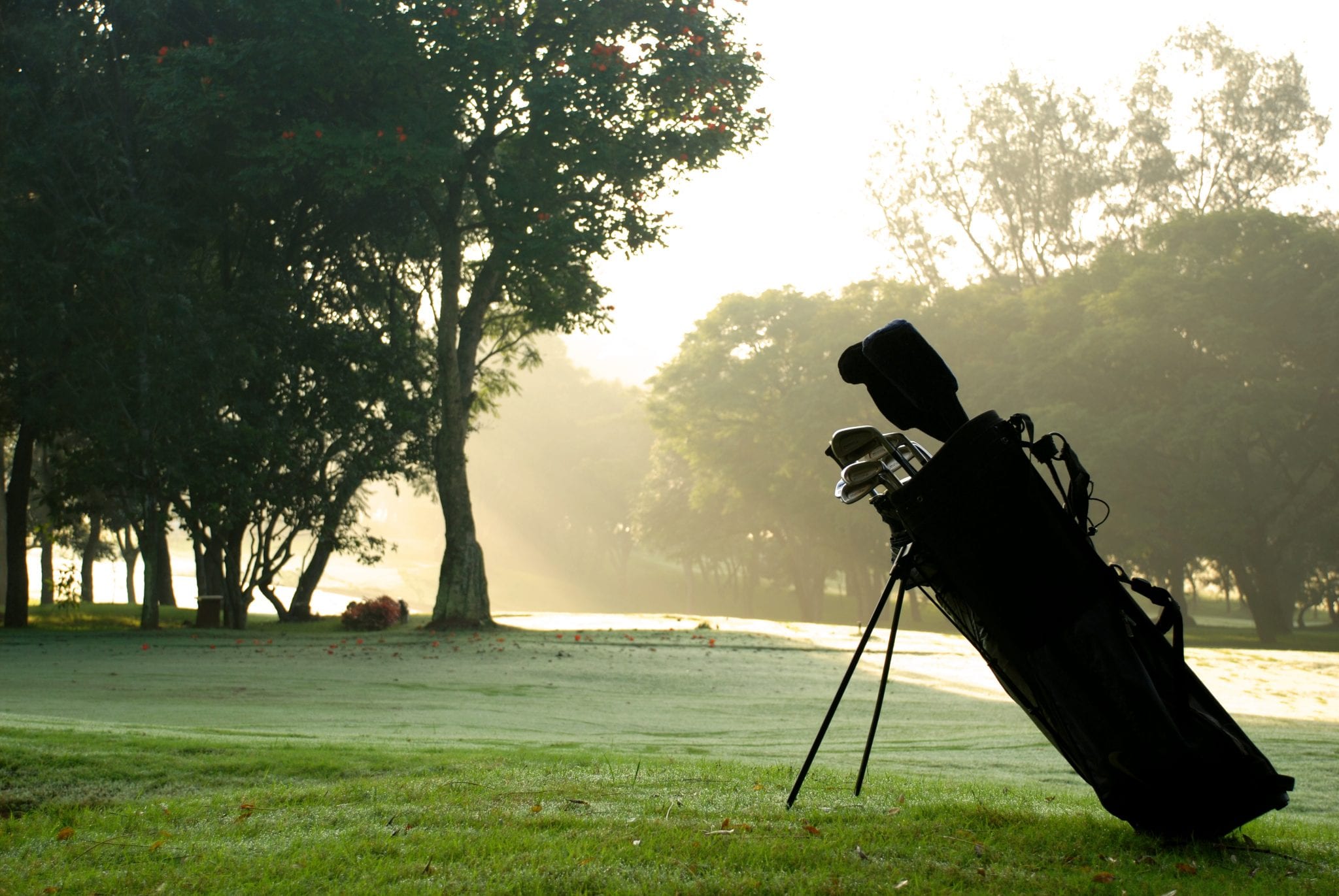 golf bag
