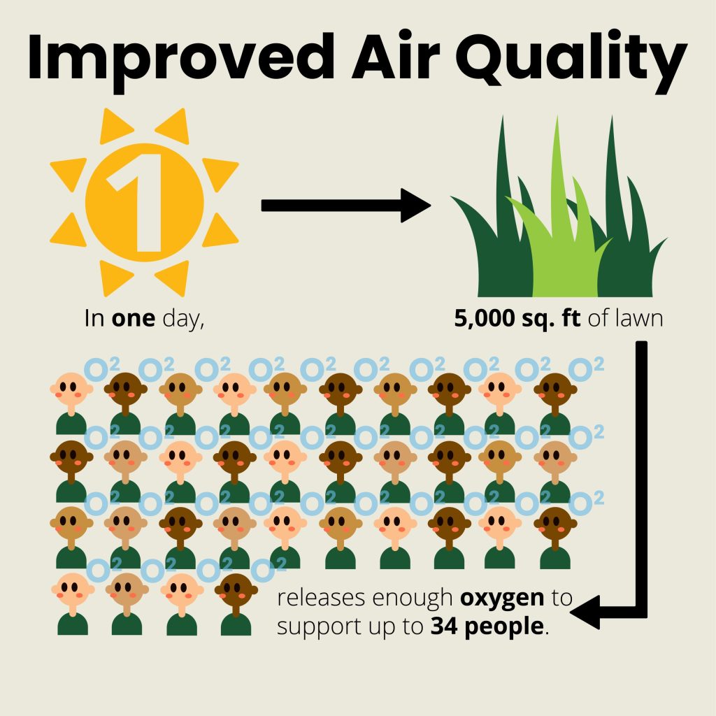 improved air quality