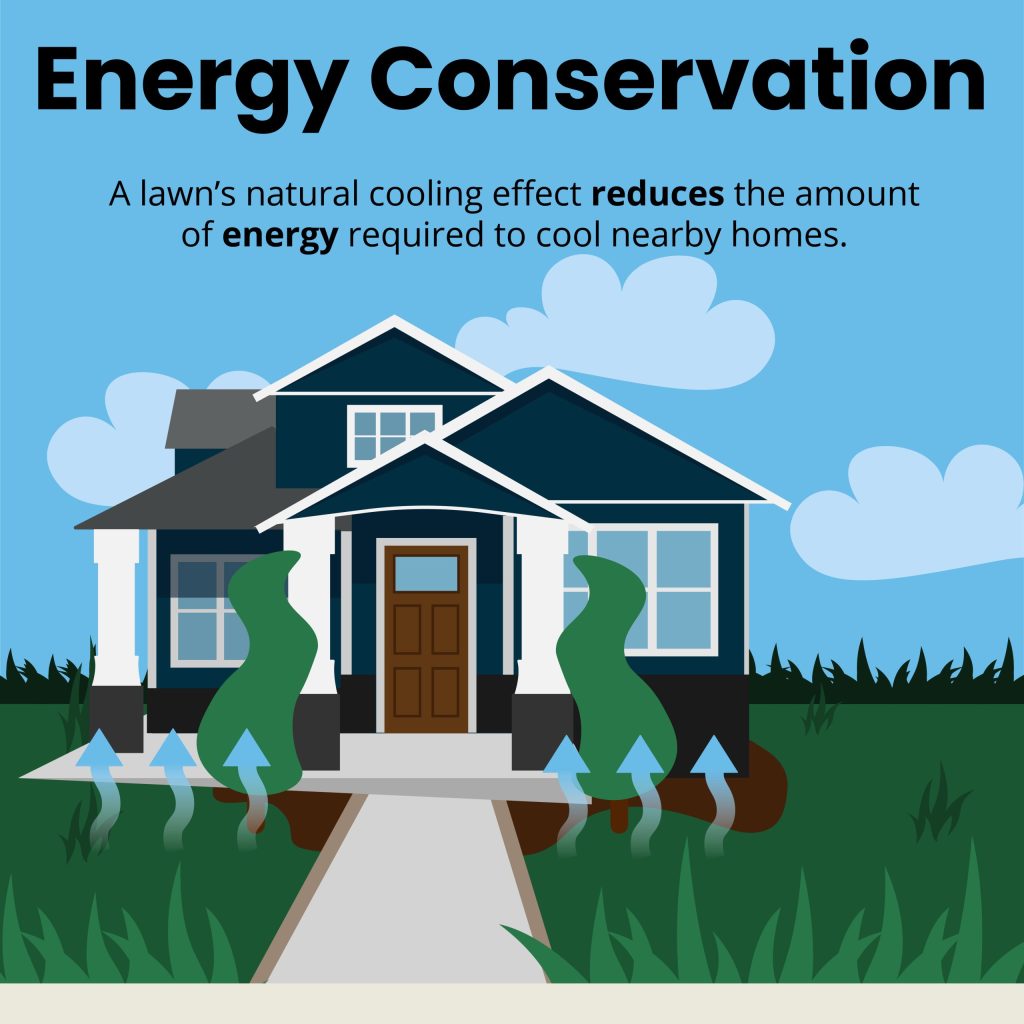 energy conservation