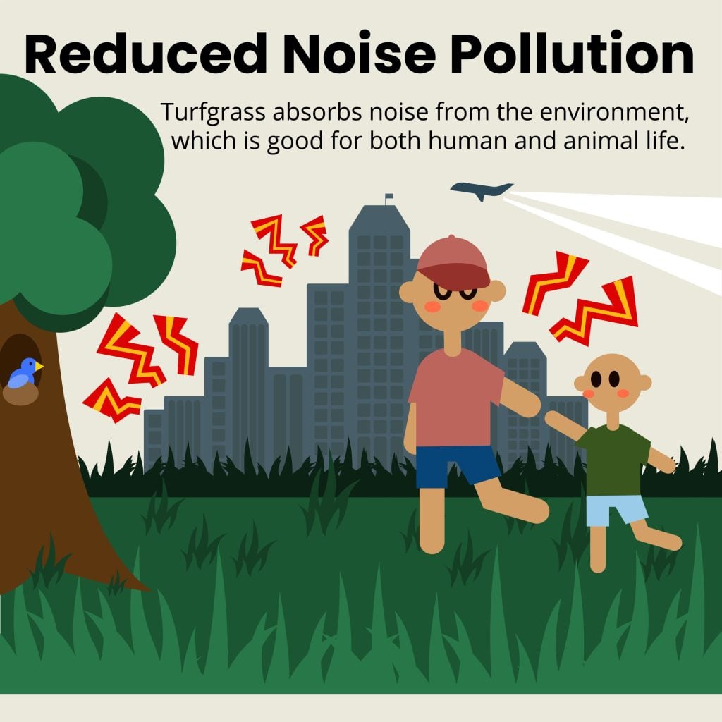 reduced noise pollution