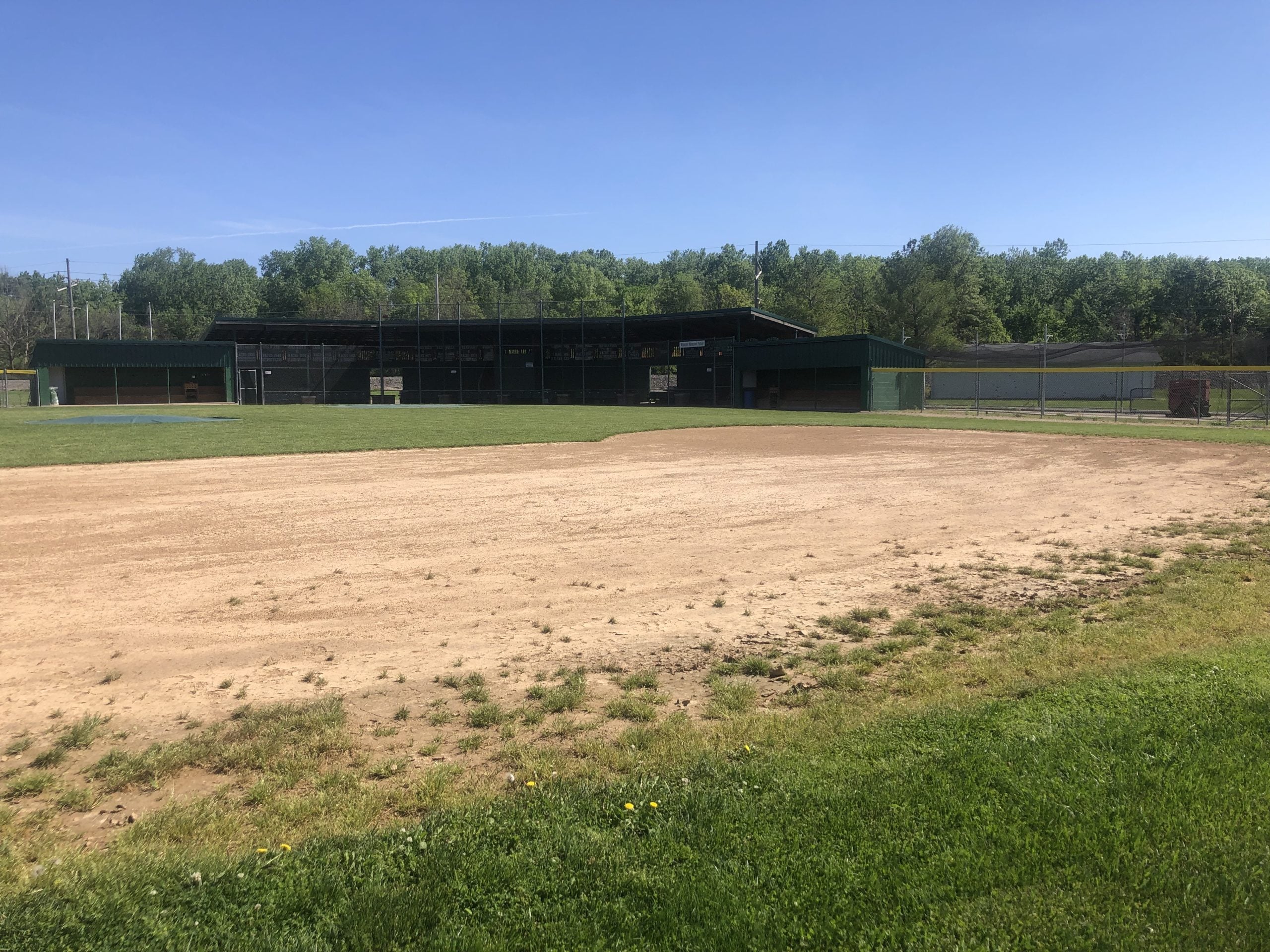 weed control on baseball field