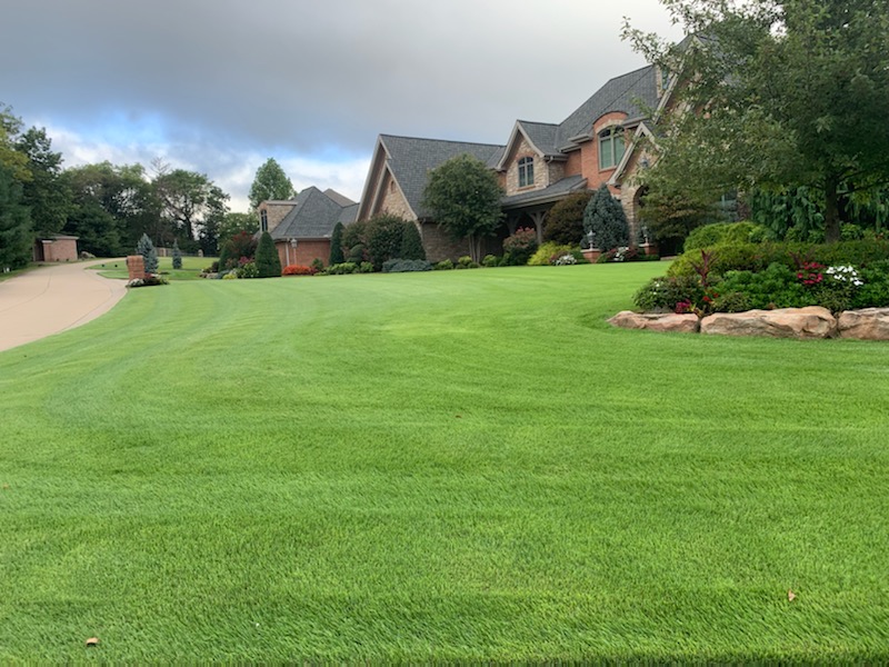Zoysia Fall Practices for Lawn
