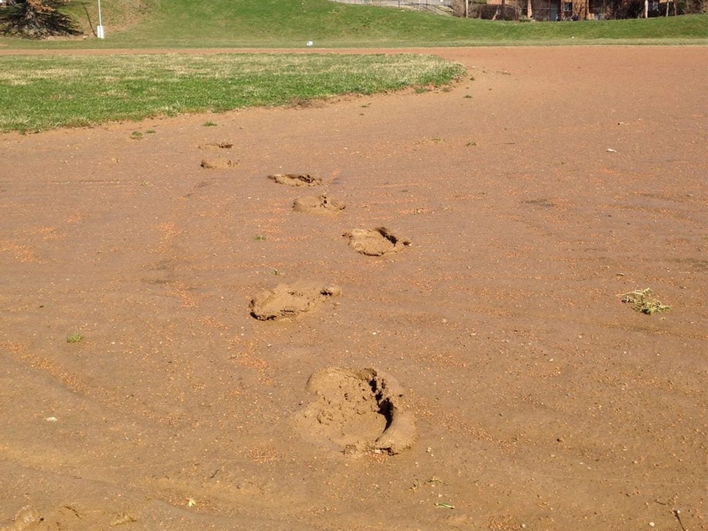 baseball field not ready to roll