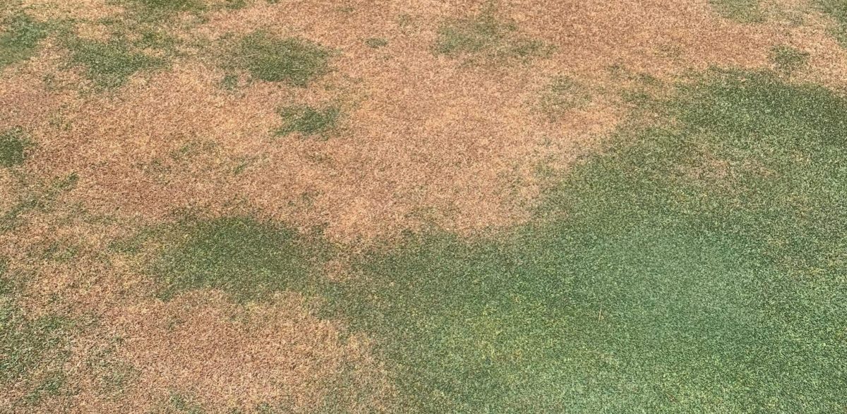 Condition Your Soil Early For Improved Moisture Management - Advanced