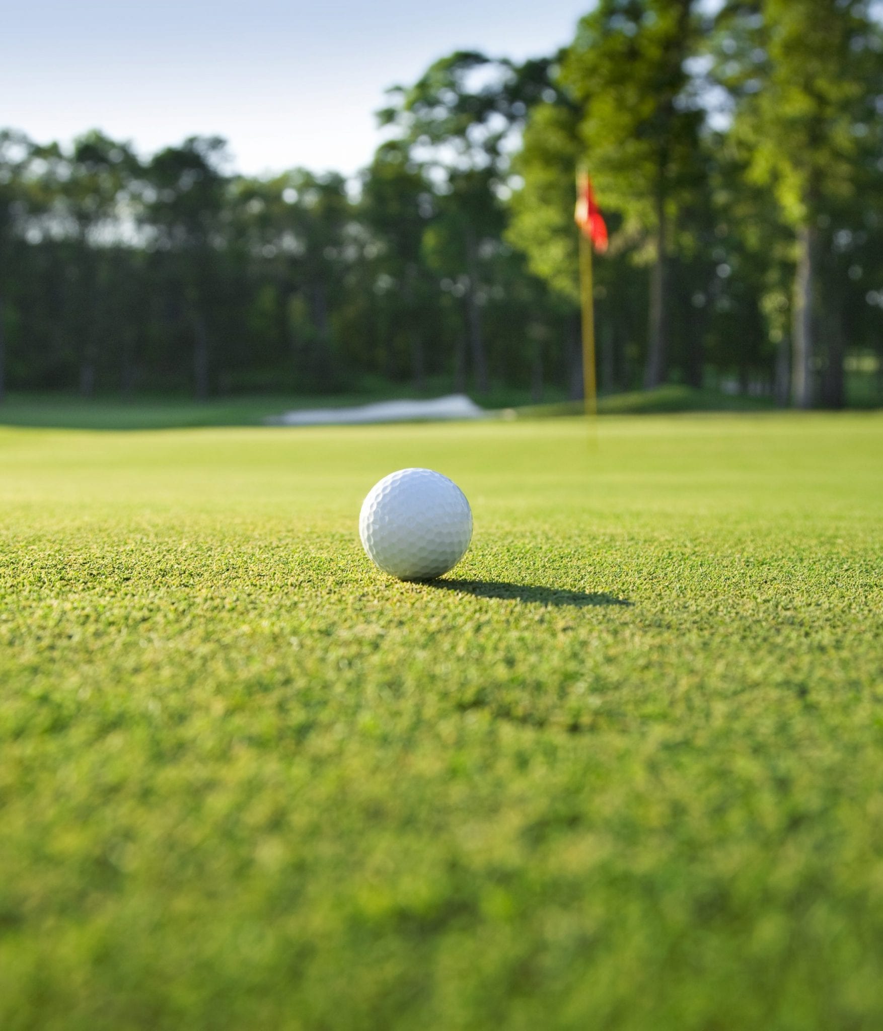 Close up of golf ball on green