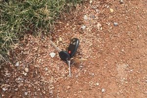 keys laying on the ground in dirt