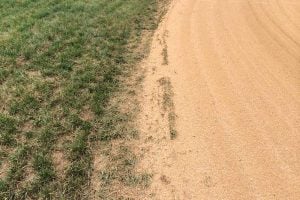close-up of the edge of grass and dirt