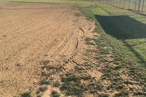 close-up of a grass and dirt on a baseball field