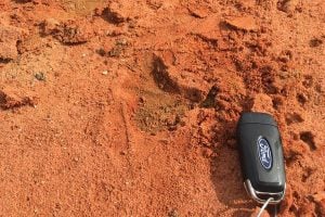 pair of ford keys in the dirt