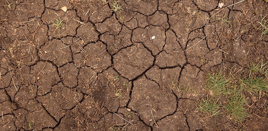 Soil Compaction: Symptoms, Problems, and Best Practices - Advanced Turf ...