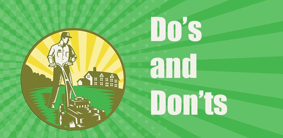 Do's and Don'ts